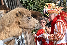 01 DuisburgerZoo 2025-02-25 03  Im Zoo und WDR - Im Duisburger Zoo waren es nicht Elefant, Tiger und Co. die wir besuchten, wir haben Kamel, Koala und Delphin mit einem Helau begrüßt. Danach ging es dann zum WDR in den Innenhafen. Dort besuchten wir die Lokalzeit Redaktion und das Studio. : DVPJ, Holger II, Phil II., Prinz Karneval, Prinz, Prinzessin Mia I., Hofmarschälle, Page, Pagen, Paginnen, HDK, Duisburg, Karneval, Helau, Tollität, Event, Session 2024, Session 2025, HDK Duisburg, Hauptausschuss, Hauptausschuss Karneval Duisburg, Duisburg ist echt