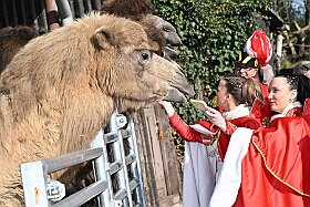 01 DuisburgerZoo 2025-02-25 04  Im Zoo und WDR - Im Duisburger Zoo waren es nicht Elefant, Tiger und Co. die wir besuchten, wir haben Kamel, Koala und Delphin mit einem Helau begrüßt. Danach ging es dann zum WDR in den Innenhafen. Dort besuchten wir die Lokalzeit Redaktion und das Studio. : DVPJ, Holger II, Phil II., Prinz Karneval, Prinz, Prinzessin Mia I., Hofmarschälle, Page, Pagen, Paginnen, HDK, Duisburg, Karneval, Helau, Tollität, Event, Session 2024, Session 2025, HDK Duisburg, Hauptausschuss, Hauptausschuss Karneval Duisburg, Duisburg ist echt