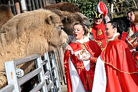 01 DuisburgerZoo 2025-02-25 05  Im Zoo und WDR - Im Duisburger Zoo waren es nicht Elefant, Tiger und Co. die wir besuchten, wir haben Kamel, Koala und Delphin mit einem Helau begrüßt. Danach ging es dann zum WDR in den Innenhafen. Dort besuchten wir die Lokalzeit Redaktion und das Studio. : DVPJ, Holger II, Phil II., Prinz Karneval, Prinz, Prinzessin Mia I., Hofmarschälle, Page, Pagen, Paginnen, HDK, Duisburg, Karneval, Helau, Tollität, Event, Session 2024, Session 2025, HDK Duisburg, Hauptausschuss, Hauptausschuss Karneval Duisburg, Duisburg ist echt