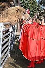 01 DuisburgerZoo 2025-02-25 06  Im Zoo und WDR - Im Duisburger Zoo waren es nicht Elefant, Tiger und Co. die wir besuchten, wir haben Kamel, Koala und Delphin mit einem Helau begrüßt. Danach ging es dann zum WDR in den Innenhafen. Dort besuchten wir die Lokalzeit Redaktion und das Studio. : DVPJ, Holger II, Phil II., Prinz Karneval, Prinz, Prinzessin Mia I., Hofmarschälle, Page, Pagen, Paginnen, HDK, Duisburg, Karneval, Helau, Tollität, Event, Session 2024, Session 2025, HDK Duisburg, Hauptausschuss, Hauptausschuss Karneval Duisburg, Duisburg ist echt