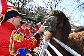 01 DuisburgerZoo 2025-02-25 08  Im Zoo und WDR - Im Duisburger Zoo waren es nicht Elefant, Tiger und Co. die wir besuchten, wir haben Kamel, Koala und Delphin mit einem Helau begrüßt. Danach ging es dann zum WDR in den Innenhafen. Dort besuchten wir die Lokalzeit Redaktion und das Studio. : DVPJ, Holger II, Phil II., Prinz Karneval, Prinz, Prinzessin Mia I., Hofmarschälle, Page, Pagen, Paginnen, HDK, Duisburg, Karneval, Helau, Tollität, Event, Session 2024, Session 2025, HDK Duisburg, Hauptausschuss, Hauptausschuss Karneval Duisburg, Duisburg ist echt