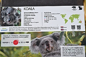 01 DuisburgerZoo 2025-02-25 14  Im Zoo und WDR - Im Duisburger Zoo waren es nicht Elefant, Tiger und Co. die wir besuchten, wir haben Kamel, Koala und Delphin mit einem Helau begrüßt. Danach ging es dann zum WDR in den Innenhafen. Dort besuchten wir die Lokalzeit Redaktion und das Studio. : DVPJ, Holger II, Phil II., Prinz Karneval, Prinz, Prinzessin Mia I., Hofmarschälle, Page, Pagen, Paginnen, HDK, Duisburg, Karneval, Helau, Tollität, Event, Session 2024, Session 2025, HDK Duisburg, Hauptausschuss, Hauptausschuss Karneval Duisburg, Duisburg ist echt