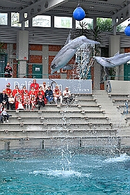 01 DuisburgerZoo 2025-02-25 31  Im Zoo und WDR - Im Duisburger Zoo waren es nicht Elefant, Tiger und Co. die wir besuchten, wir haben Kamel, Koala und Delphin mit einem Helau begrüßt. Danach ging es dann zum WDR in den Innenhafen. Dort besuchten wir die Lokalzeit Redaktion und das Studio. : DVPJ, Holger II, Phil II., Prinz Karneval, Prinz, Prinzessin Mia I., Hofmarschälle, Page, Pagen, Paginnen, HDK, Duisburg, Karneval, Helau, Tollität, Event, Session 2024, Session 2025, HDK Duisburg, Hauptausschuss, Hauptausschuss Karneval Duisburg, Duisburg ist echt